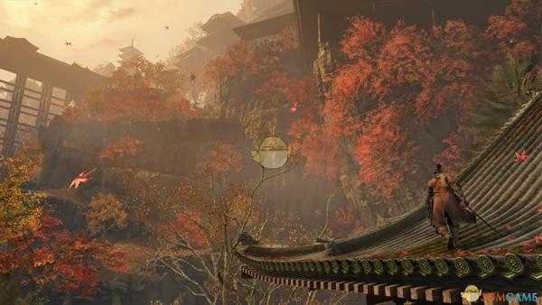 《只狼：影逝二度》丈人物身份介绍