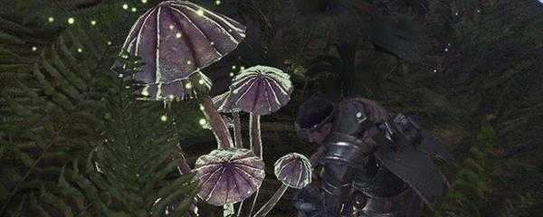 怪物猎人世界雌火龙???任务