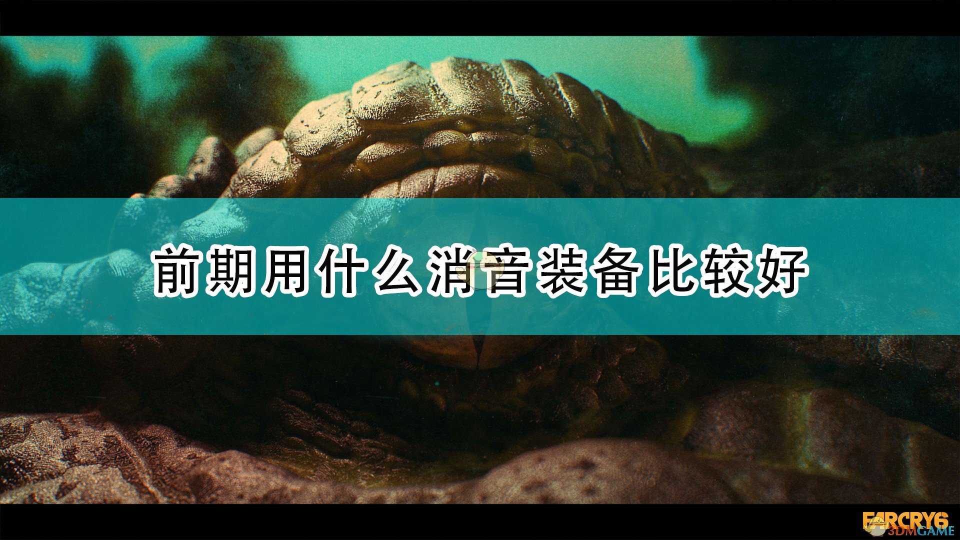 《孤岛惊魂6》前期消音装备推荐