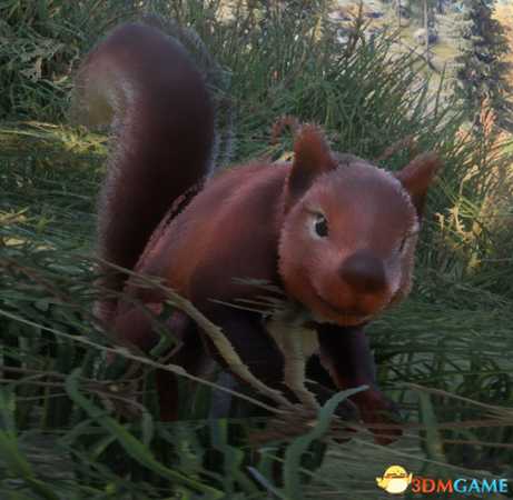 猎人荒野的呼唤西伯利亚收藏品坐标一览