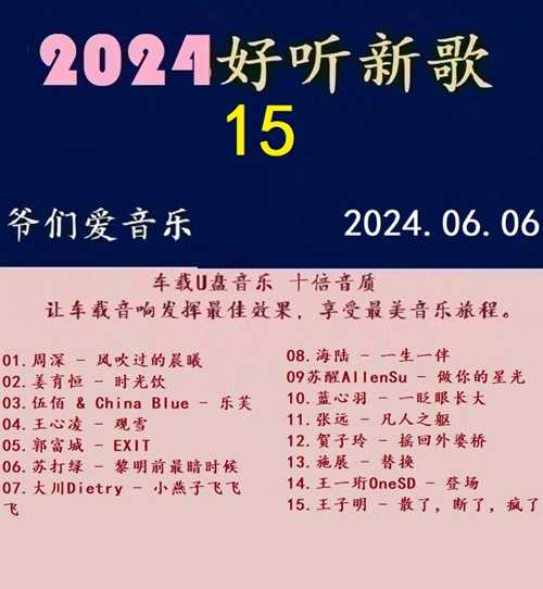 群星《2024好听新歌15》十倍音质 U盘音乐[WAV分轨][1.1G]