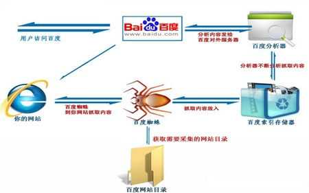 网站优化新思维：谈谈如何让蜘蛛来适应我们呢