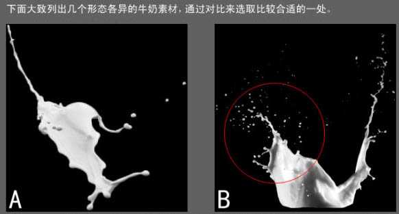 Photoshop合成牛奶泼洒出纯白色花朵的效果