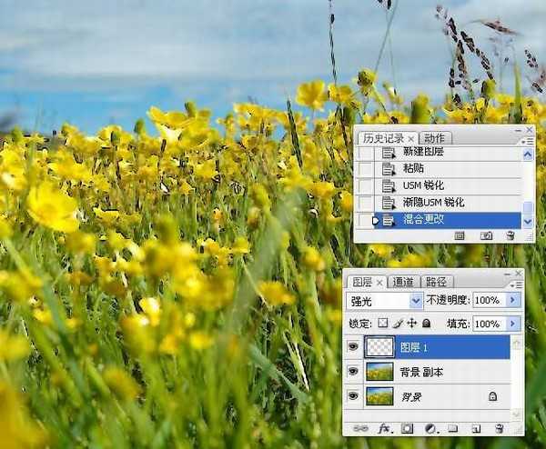 photoshop锐化技术知识学习