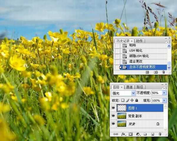 photoshop锐化技术知识学习