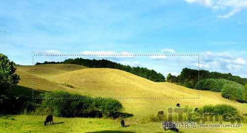 Photoshop合成在大草原上漂浮的岛屿奇幻场景