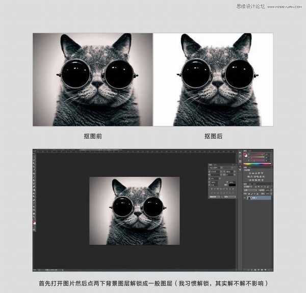 Photoshop使用通道给黑色猫咪抠图