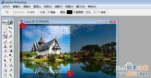 用Photoshop如何裁剪图片呢?