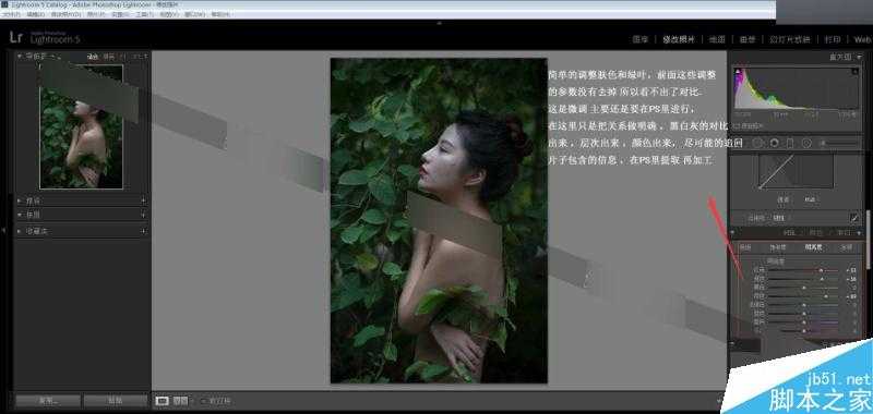 Photoshop将外景美女人像调出唯美的电影胶片效果