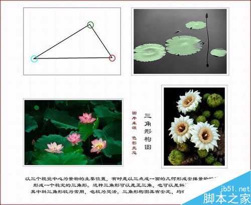 常见的构图方式有哪些?几种常见的摄影构图