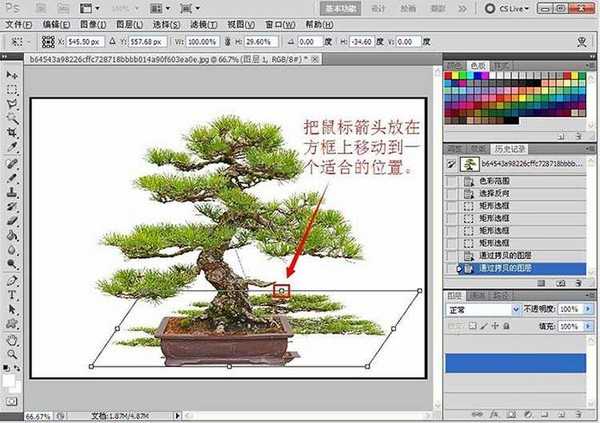 Photoshop制作逼真的盆景倒影