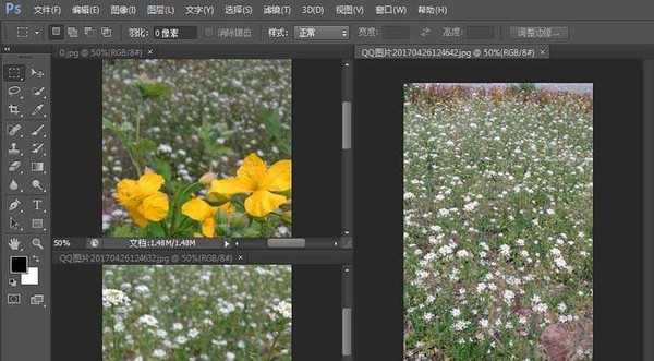 ps cs6怎么分栏查看照片?