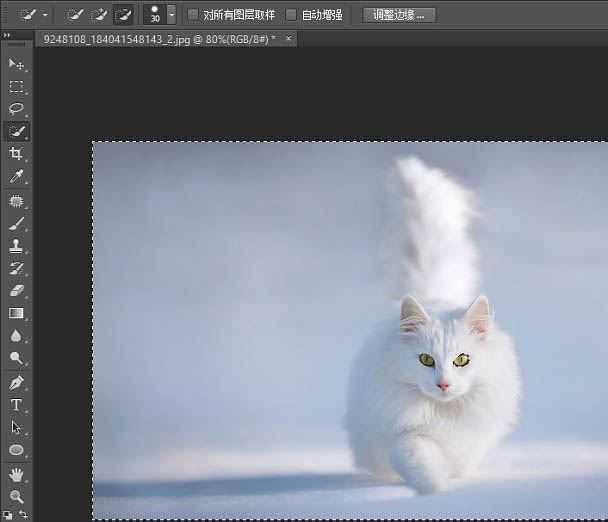 ps精细抠图利用调整边缘快速抠出白色可爱猫咪图片教程