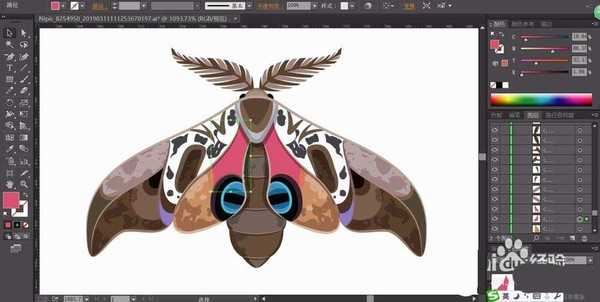 ai怎么手绘飞蛾矢量图? ai画飞蛾的教程