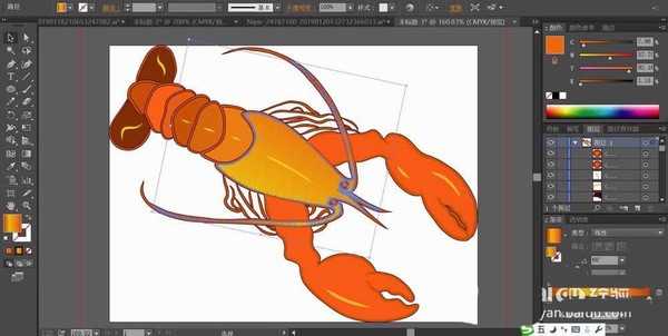 ai怎么手绘龙虾素材? ai小龙虾的画法